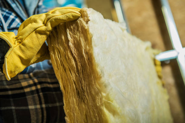 Best Local Insulation Services  in Royal Kunia, HI